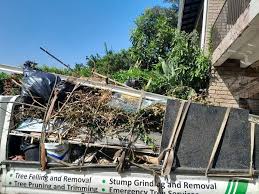 Best Residential Junk Removal  in Lyons, NJ
